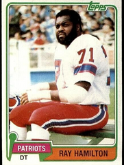 Ray "Sugar Bear" Hamilton Signed New England Patriots Jersey (JSA)