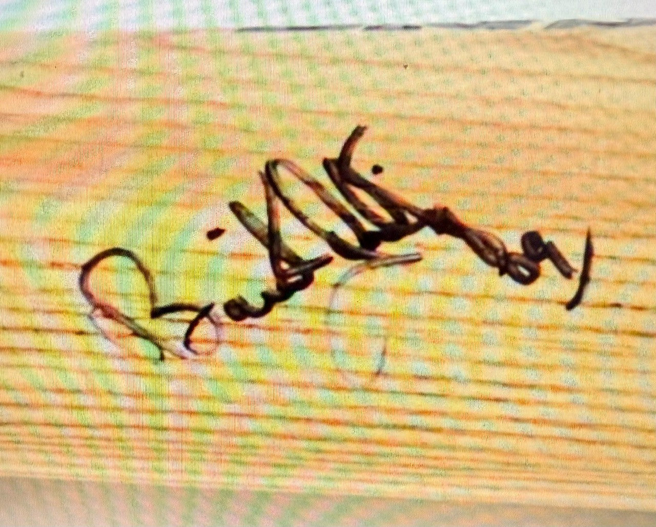 47717932