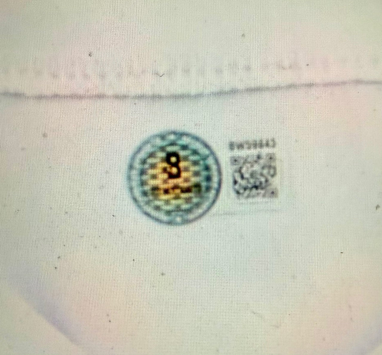 47319803
