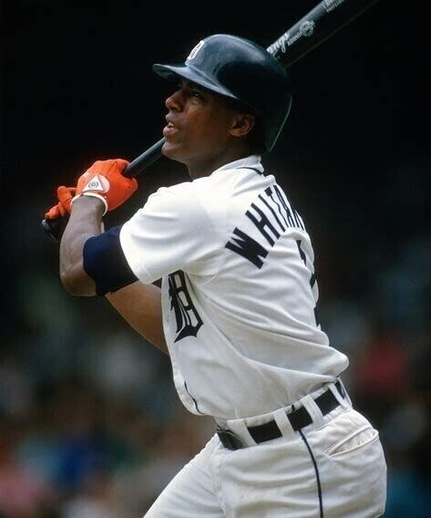 Lou Whitaker Signed Rawlings Bat "1978 AL ROY" & "WSC 1984" (JSA) Detroit Tigers