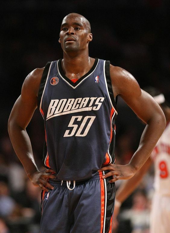 Emeka Okafor Signed Charlotte Bobcats Custom Style Jersey (Beckett COA)