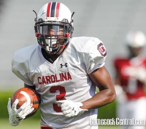 Chris Lammons Signed South Carolina Gamecocks Pro Cut Jersey (JSA COA) Colts D.B