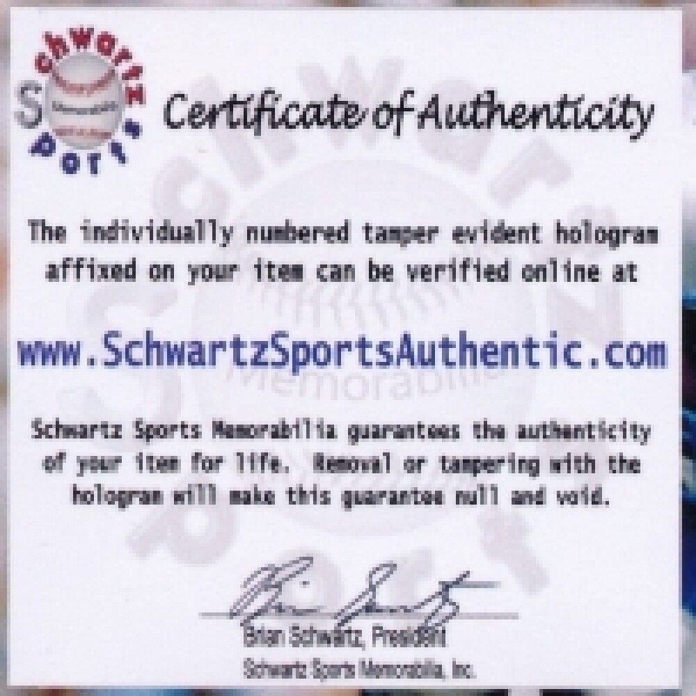 2016 Cubs Coaching Staff 27.5" x 36.75" World Series Flag Signed by (7) Schwartz