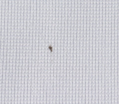 Pablo Sandoval Signed San Francisco Giants Jersey Inscrbd Kung Fu Panda  PSA COA