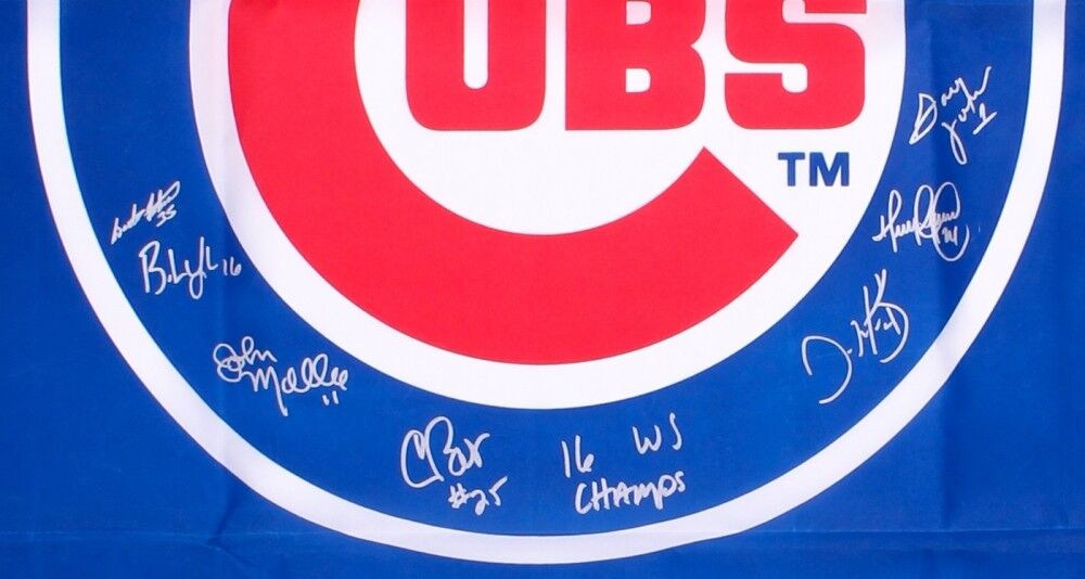2016 Cubs Coaching Staff 27.5" x 36.75" World Series Flag Signed by (7) Schwartz