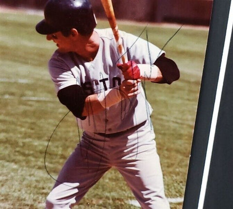 Carl Yastrzemski Signed Boston Red Sox 14" x 18" Matted Photo Display (JSA COA)