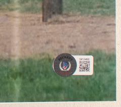 45991080