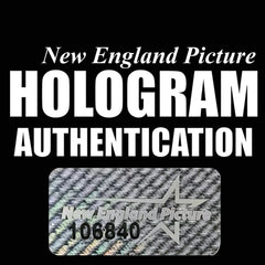 47079035