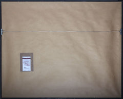 44700877