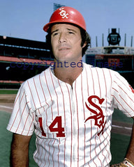 Bill Melton Signed ML Baseball (PSA) Chicago White Sox 3rd Baseman / 1971 HR Ldr