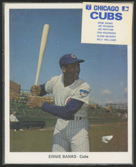 Vintage Unopened 1972 Chicago Cubs Photo Pack Sold at Wrigley Field 6 Cub Greats