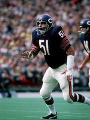 Dick Butkus Signed Bears 35x43 Framed Jersey (Beckett) 8×Pro Bowl / 1965–1972 LB