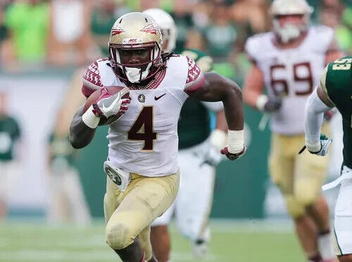 Florida state dalvin cook jersey deals