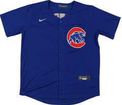 Dansby Swanson Signed Chicago Cub Majestic Jersey (JSA COA) 2xAll Star Shortstop