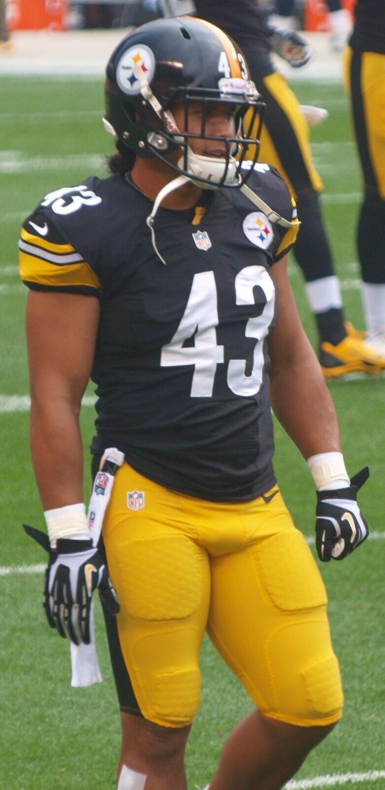 Troy Polamalu Signed Pittsburgh Steelers Jersey (JSA) 8xPro Bowl